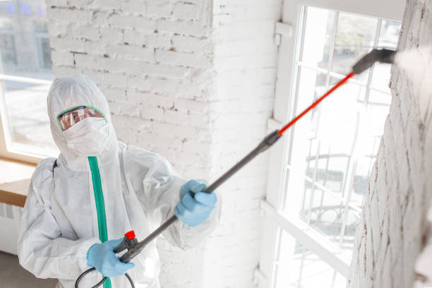 Mold Documentation for Insurance Claims in West Burlington, IA