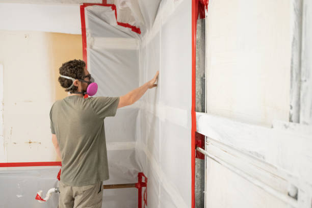Best Mold Prevention Services  in West Burlington, IA