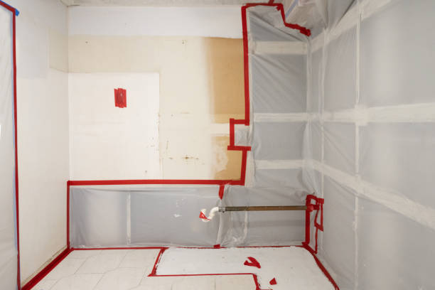 West Burlington, IA Mold Removal Company