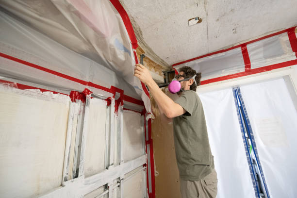 Best Dehumidification Services  in West Burlington, IA