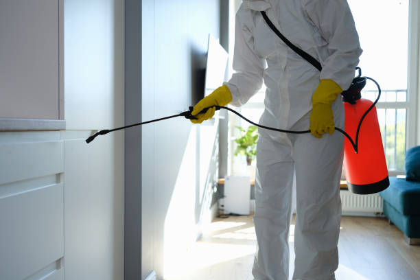 Best Biohazard Mold Removal  in West Burlington, IA